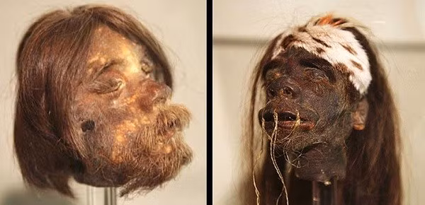 Người Shuar giải thích rằng, việc thu nhỏ đầu của kẻ thù là phong tục mang tính tôn giáo của riêng bộ tộc. Hành động lấy đầu kẻ thù rồi nhét sỏi đá, cát nóng vào hộp sọ sẽ giúp người Shuar hút hết được linh hồn, lấy sức mạnh từ họ. Từ đó, cư dân Shuar có thêm sức khỏe để đe dọa đối thủ khác và ngăn linh hồn người chết về trả thù.