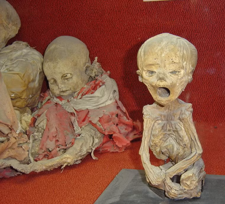 Bảo tàng xác ướp ở bang Guanajuato, Mexico là nơi lưu giữ nhiều xác ướp trẻ em, được bảo quản tự nhiên nhờ môi trường lạnh và khô ở địa phương.