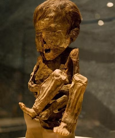 Em bé Peru 4 tuổi này đã mất vào khoảng năm 1300.
