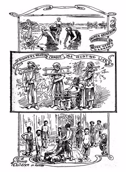 Từ trên xuống dưới: Những người phụ nữ nhặt rau muống trên ruộng/ Các phạm nhân bị đeo gông ở cổ/ Một nhóm trẻ em An Nam.