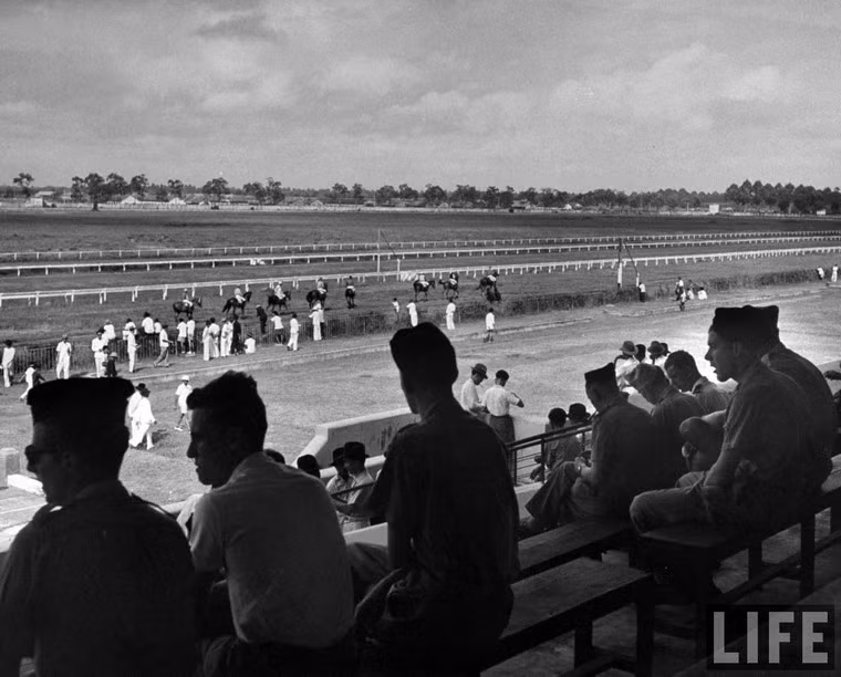 Trên khán đài của trường đua Phú Thọ.