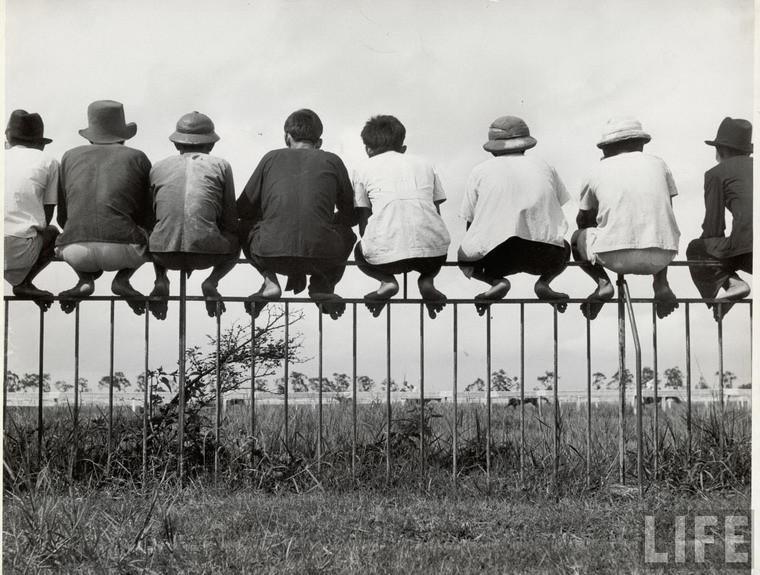 Những người đàn ông ngồi trên hàng rào để xem đua ngựa ngày chủ nhật ở trường đua Phú Thọ.