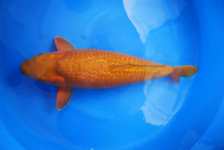 Dù vậy, tiền cũng chưa phải là tất cả.