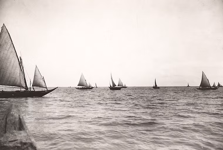 Đoàn thuyền về bến ở biển Cần Giờ.