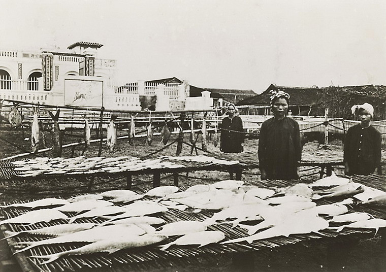 Phơi cá ở Gia Định.