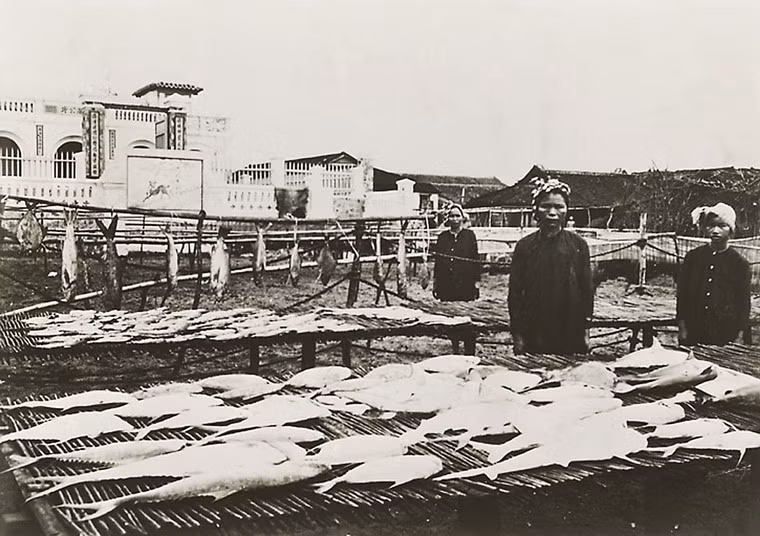 Phơi cá ở Gia Định.