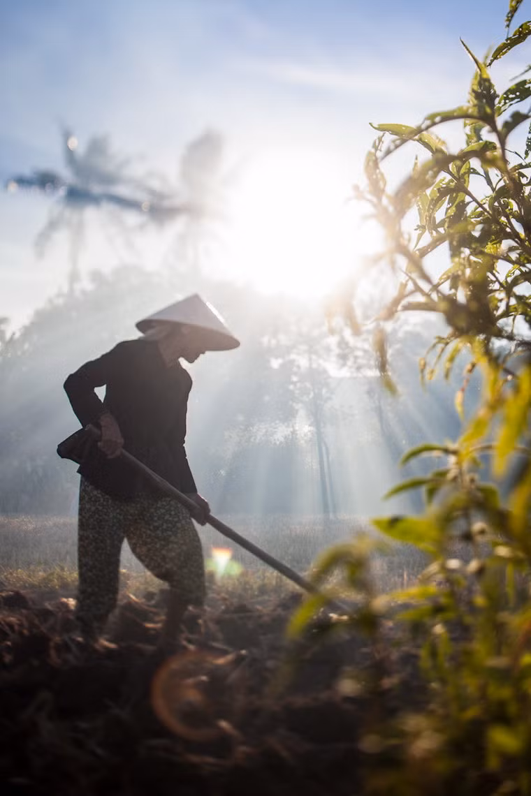 Làm đất trên ruộng.