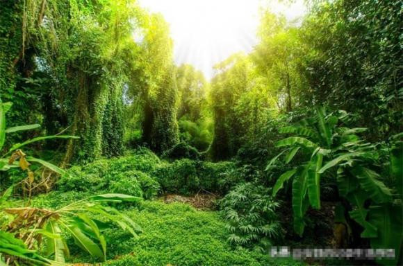 Den khi ve gia moi biet, dieu dang buon nhat la ba chu nay