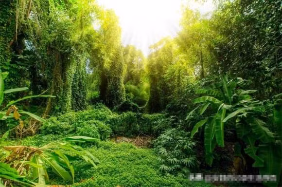 Den khi ve gia moi biet, dieu dang buon nhat la ba chu nay