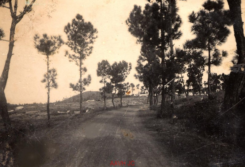 Con đường dẫn đến lăng mộ các vị vua ở phía nam Kinh thành Huế, 1943.