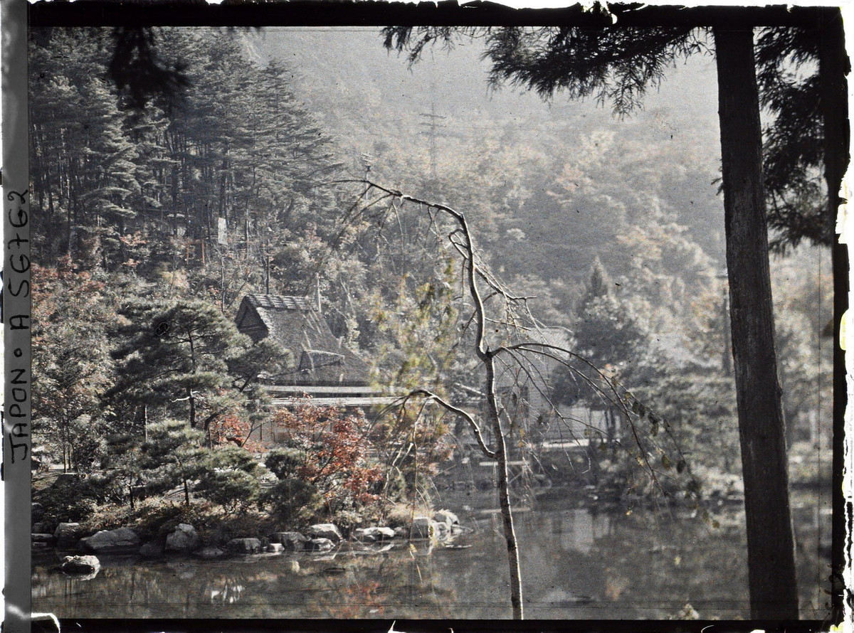 Cảnh tượng đẹp như tranh trong khu vườn.