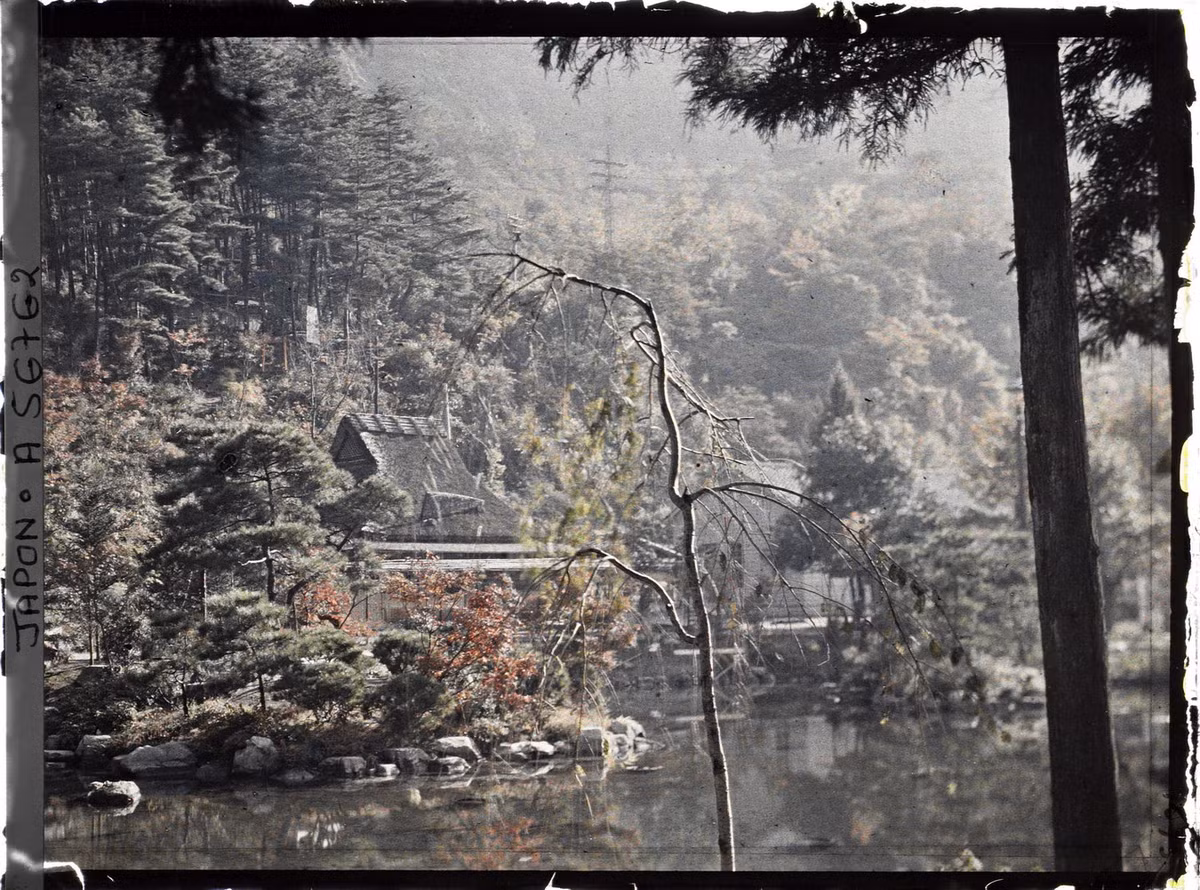 Cảnh tượng đẹp như tranh trong khu vườn.