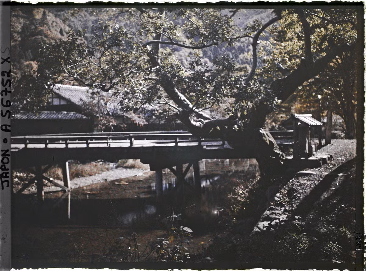 Cây cầu gỗ bắc qua sông Takano.