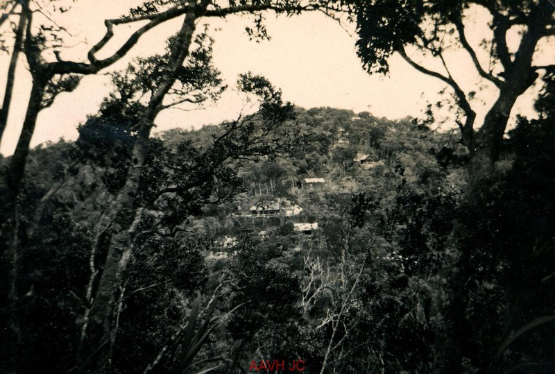 Một góc khu nghỉ dưỡng Bạch Mã với những biệt thự gỗ trên đỉnh núi.