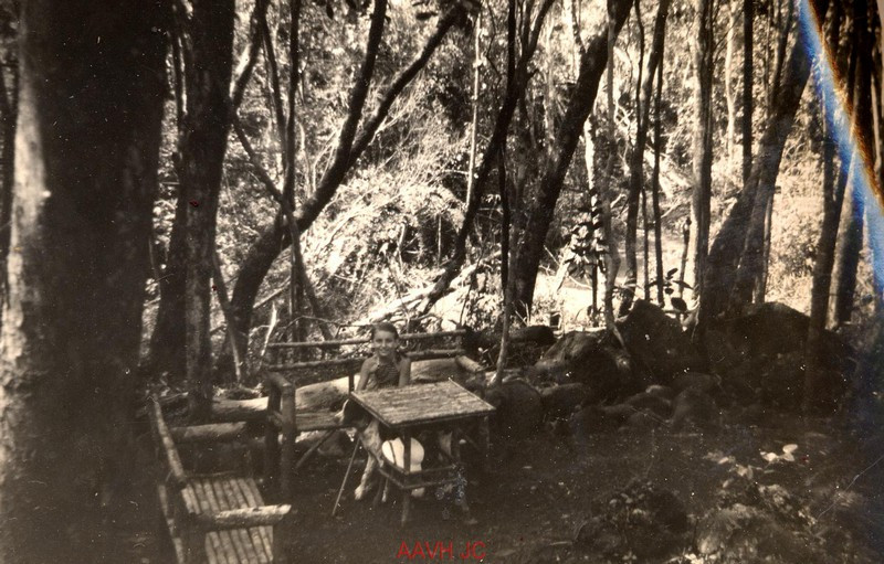 Bộ bàn ghế gỗ đặt dưới tán cây rừng.