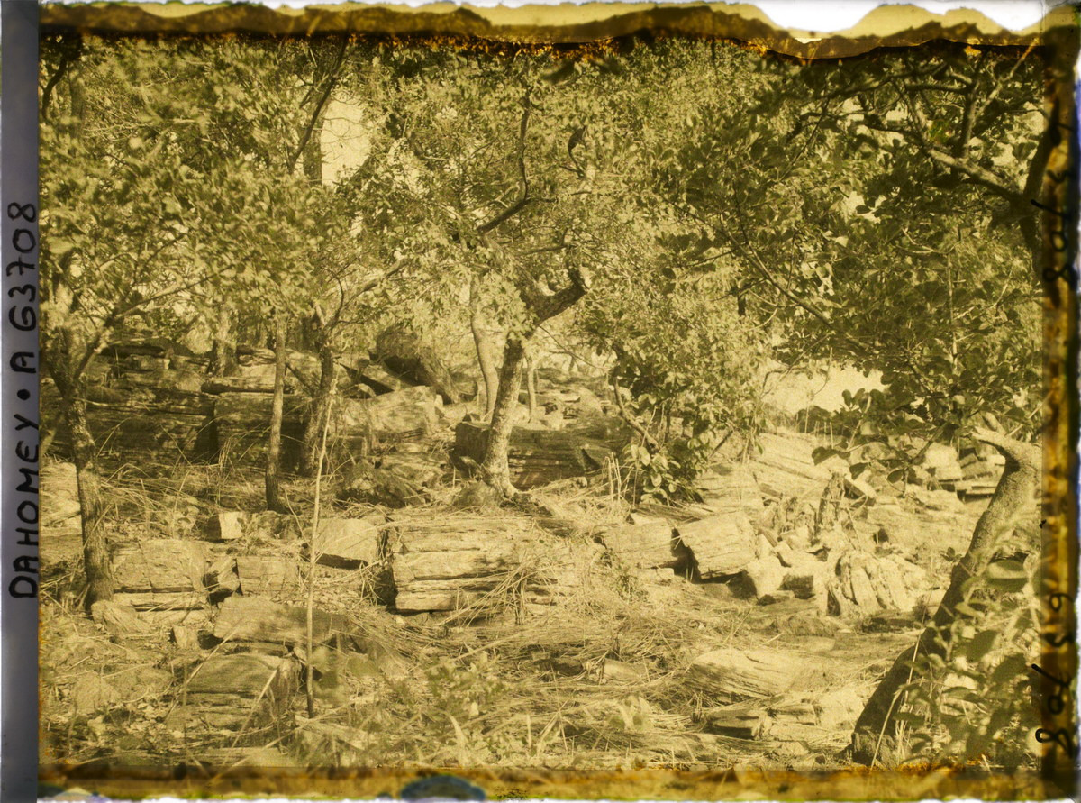 Trong một khu vườn ở thị trấn Natitingou.