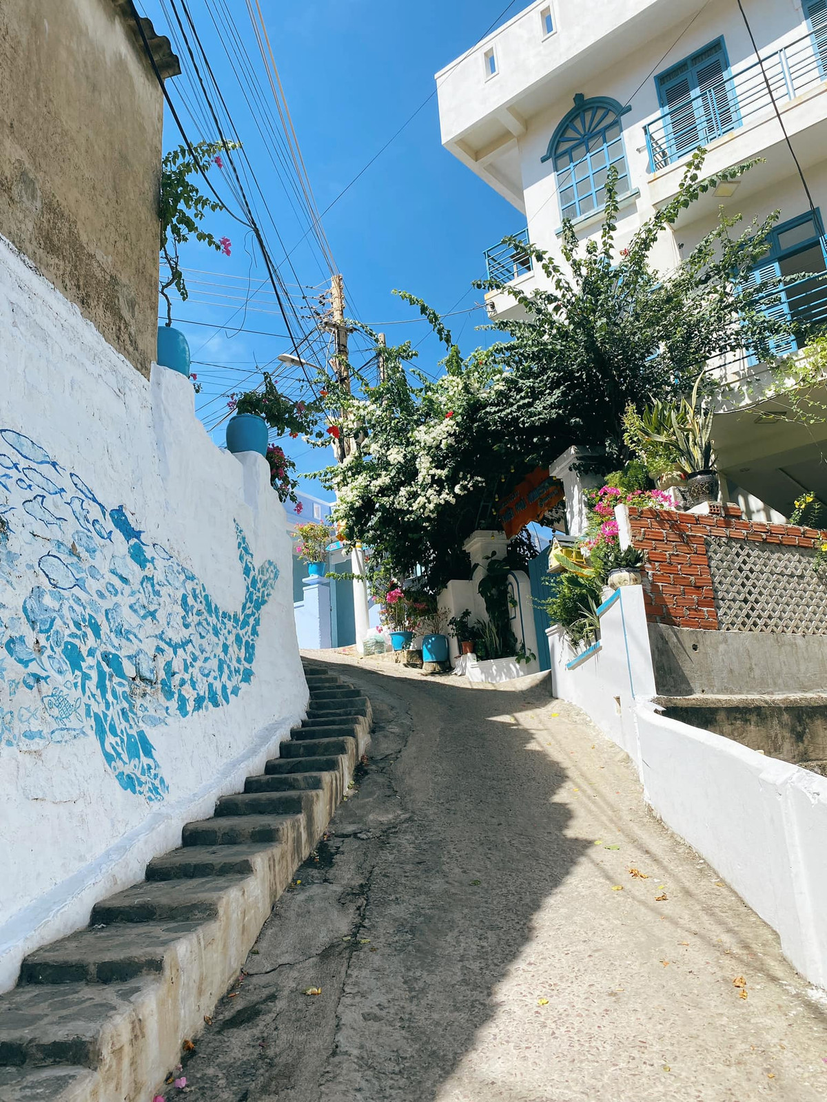 Các con đường trong làng đều rất dốc và nằm thoải ra phía biển. Các con dốc này uốn lượn, quanh co không kém Đà Lạt