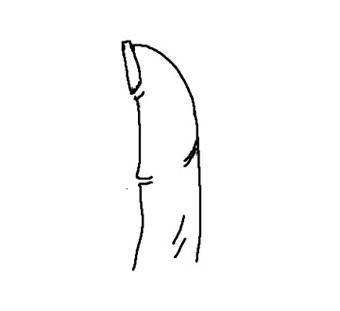 Doan biet hau van qua ngon cai-Hinh-3