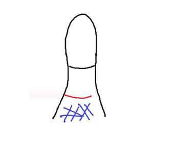 Doan biet hau van qua ngon cai-Hinh-6