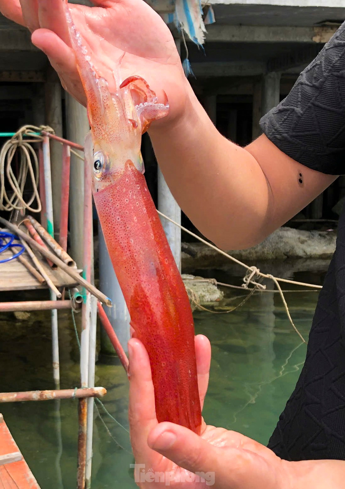 Ha Tinh: Muc nhay Vung Ang “dat khach” dau he-Hinh-12