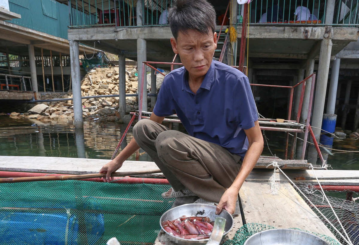 Ha Tinh: Muc nhay Vung Ang “dat khach” dau he-Hinh-6