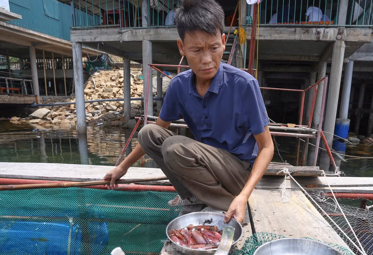 Ha Tinh: Muc nhay Vung Ang “dat khach” dau he-Hinh-6