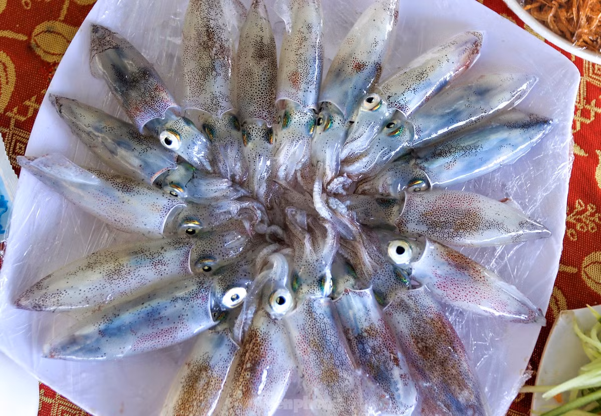 Ha Tinh: Muc nhay Vung Ang “dat khach” dau he-Hinh-8