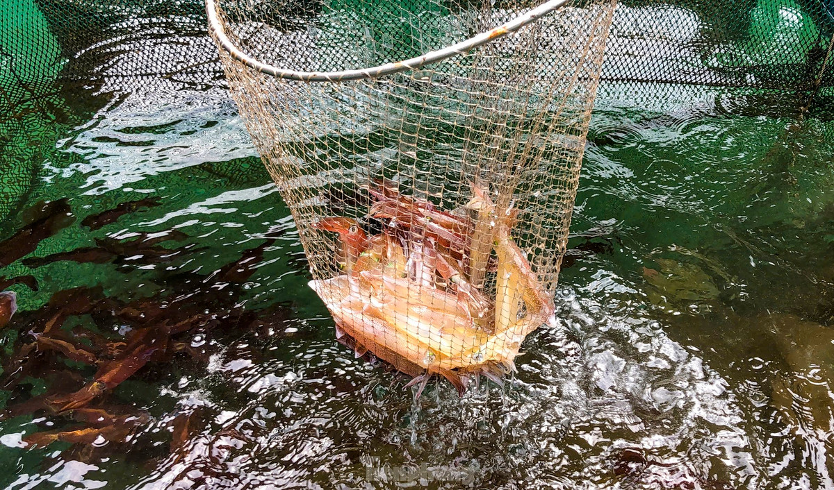 Ha Tinh: Muc nhay Vung Ang “dat khach” dau he-Hinh-7