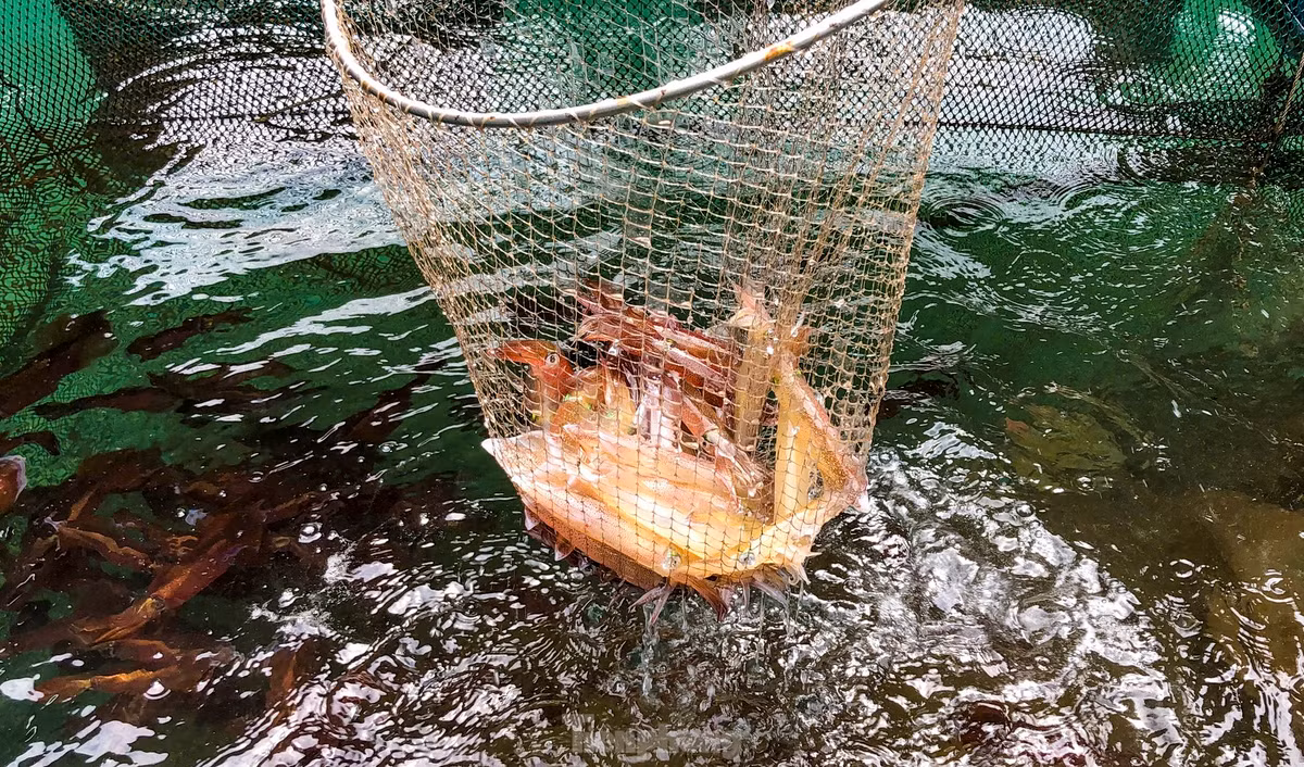 Ha Tinh: Muc nhay Vung Ang “dat khach” dau he-Hinh-7