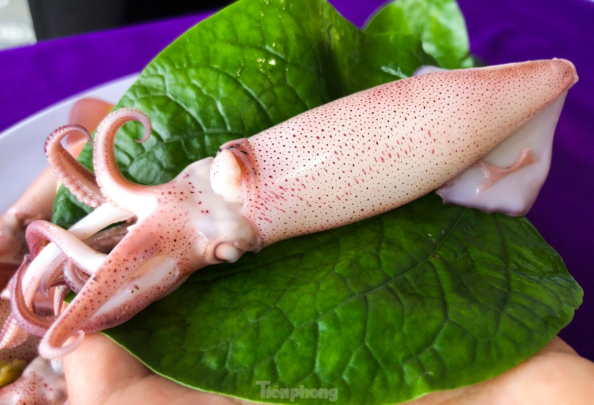 Ha Tinh: Muc nhay Vung Ang “dat khach” dau he-Hinh-9