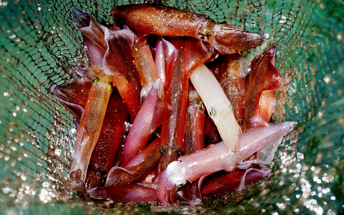 Ha Tinh: Muc nhay Vung Ang “dat khach” dau he-Hinh-3