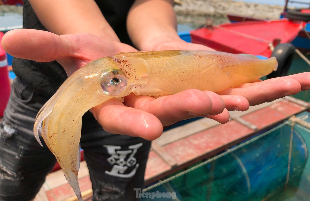 Ha Tinh: Muc nhay Vung Ang “dat khach” dau he-Hinh-5