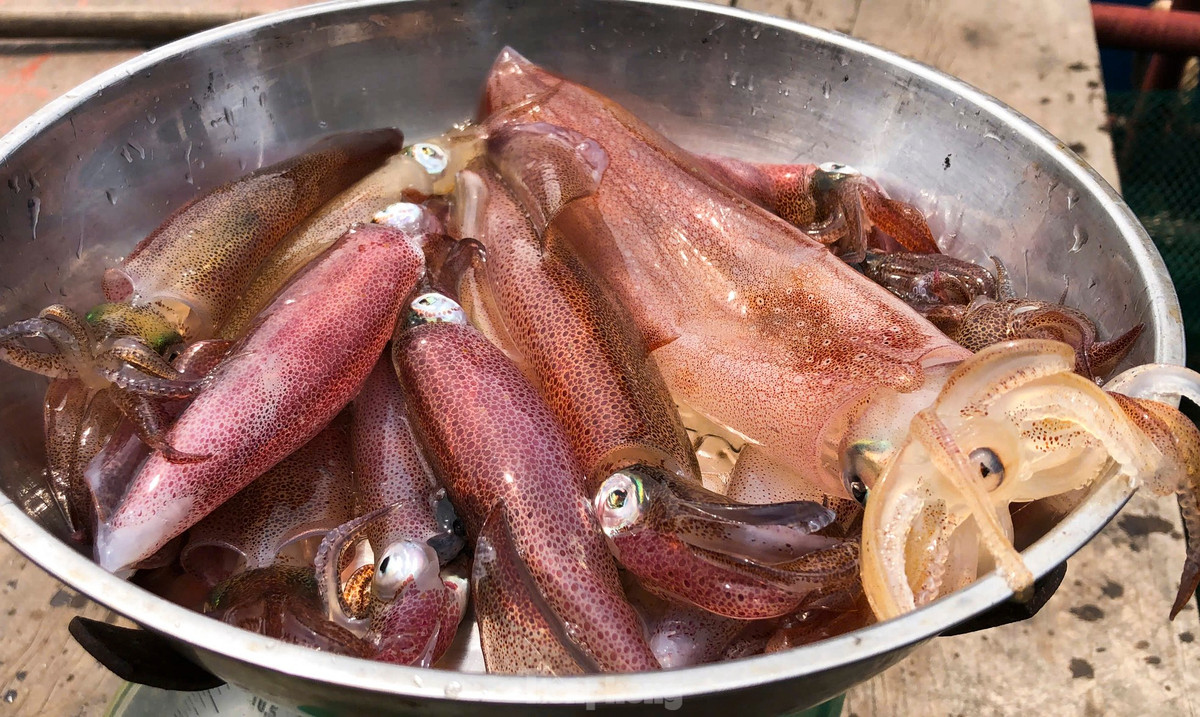 Ha Tinh: Muc nhay Vung Ang “dat khach” dau he-Hinh-4