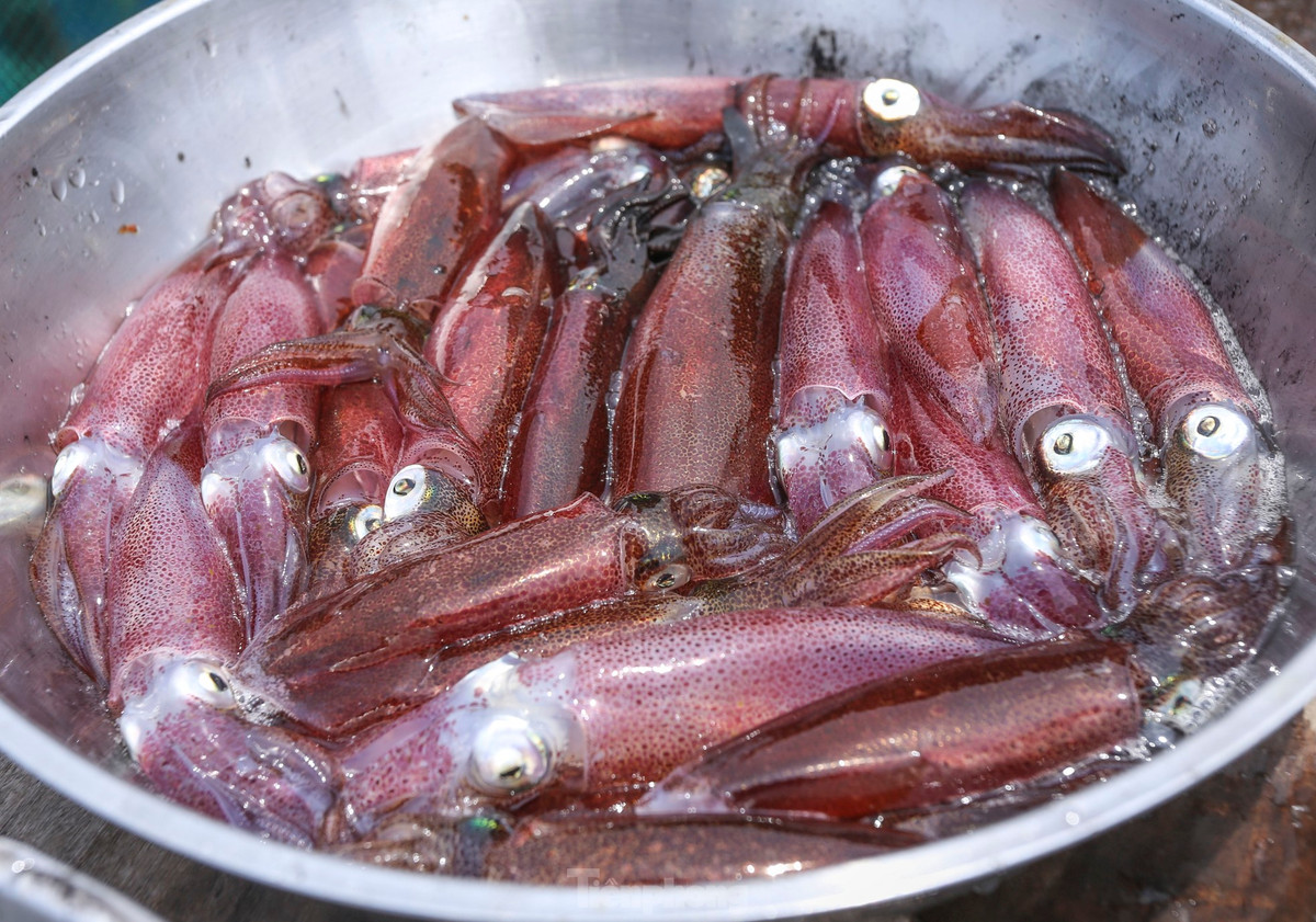 Ha Tinh: Muc nhay Vung Ang “dat khach” dau he-Hinh-13