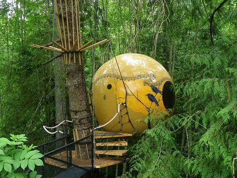  Free Spirit Sphere, British Columbia, Canada. Nằm lơ lửng trên cây, Free Spirit Sphere đảo Vancouver được xem là nhãn cầu khổng lồ nhìn vào sâu trong rừng của Columbia. Để bước vào bên trong, du khách phải đi theo đường cầu thang dây xoắn ốc chỉ bao gồm một giường và tủ.