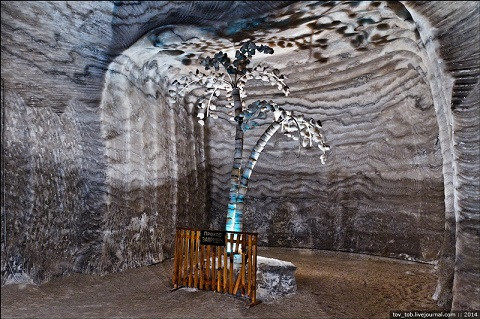 Cây cuối làm bằng muối để làm phong phú cảnh sắc tại khu mỏ.