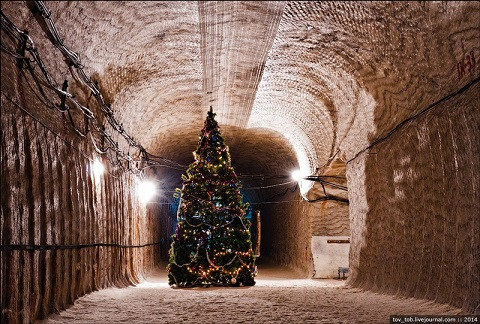 Cây thông Noel tại khu mỏ.