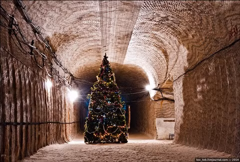 Cây thông Noel tại khu mỏ.