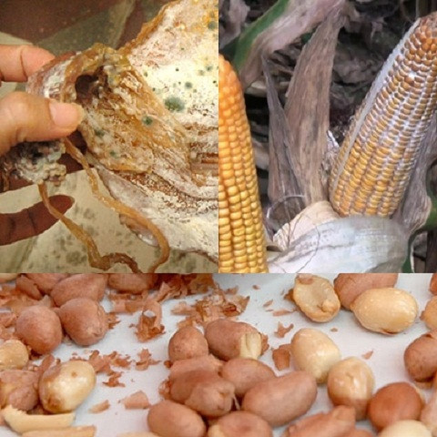 Ban da biet cach cham soc suc khoe cua gan?-Hinh-3