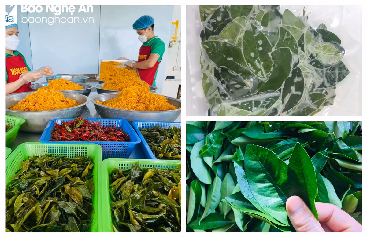 La oi, la chanh “len doi” duoc thuong lai mua gia cao-Hinh-3