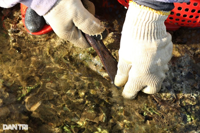 Quang Nam: Cong lung, khom goi “cao tien” tren ghenh da-Hinh-3