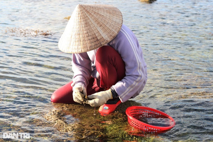 Quang Nam: Cong lung, khom goi “cao tien” tren ghenh da-Hinh-2