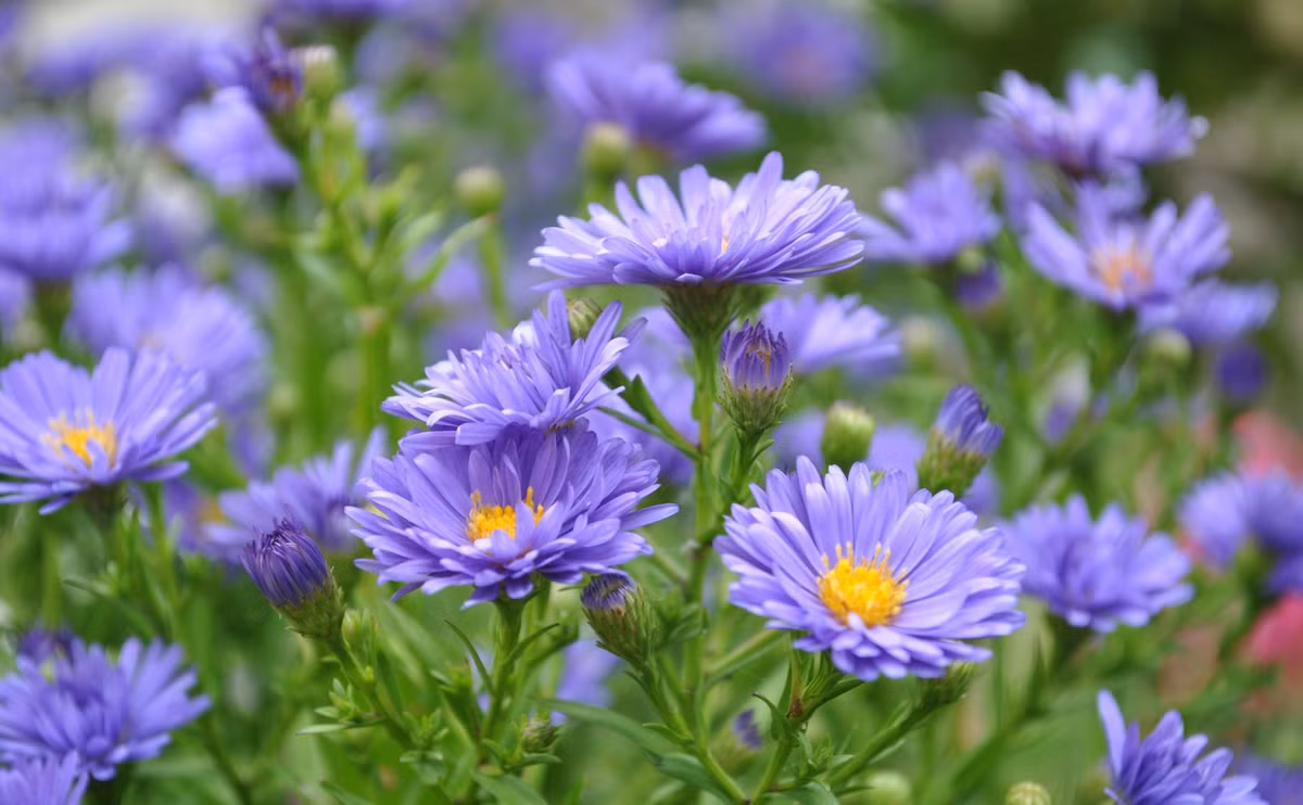 Nguoi sinh thang Am lich nay, cang kho khan cang ran roi, su nghiep thang tien-Hinh-2