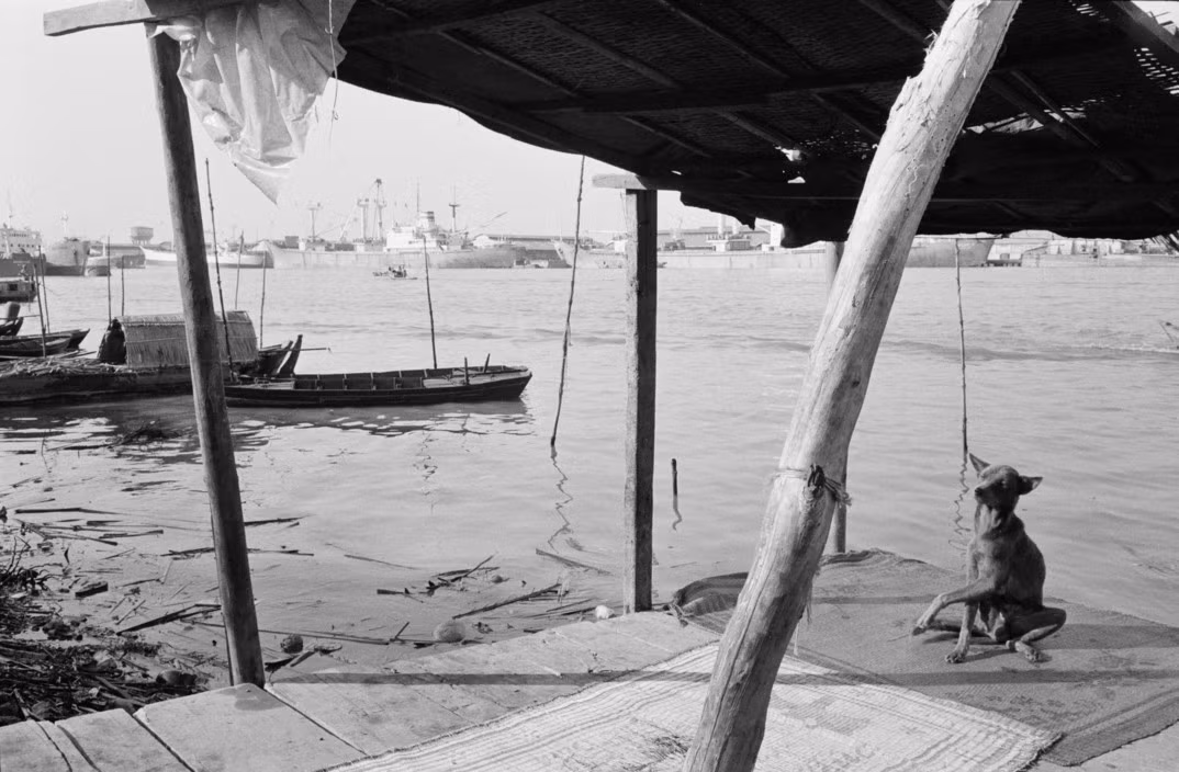 Tư thế kỳ quặc của chú chó tại bờ sông Sài Gòn, TP HCM năm 1990. Ảnh: John Vink/Magnum.