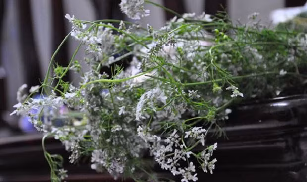 2. Mùi Tết cũng là mùi tinh dầu thơm thơm, cay cay của những gánh hàng mùi già len lỏi khắp phố phường ngày giáp Tết. Và mùi hương ấy lại dậy lên mãnh liệt vào trong những nồi nước tắm Tất niên bốc khói khi ngút, gột rửa đi hết những bụi trần, vướng bận của năm cũ. Ảnh: PLVN.