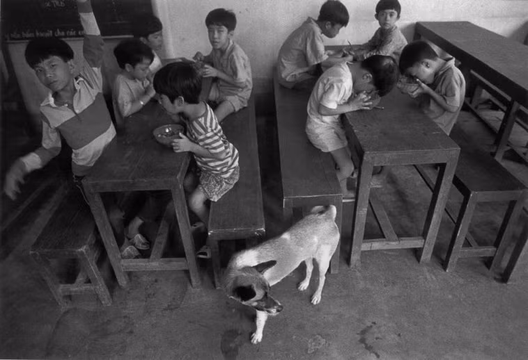 Một chú chó trong xuất hiện lớp học tại một cơ sở nuôi dưỡng trẻ mồ côi ở TP HCM năm 1993, một hình ảnh về chó ở Việt Nam của phóng viên Magnum. Ảnh: Ferdinando Scianna/Magnum.