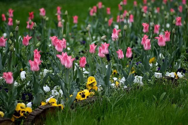 Sao may man vay quanh voi nguoi sinh ngay Am lich nay-Hinh-4