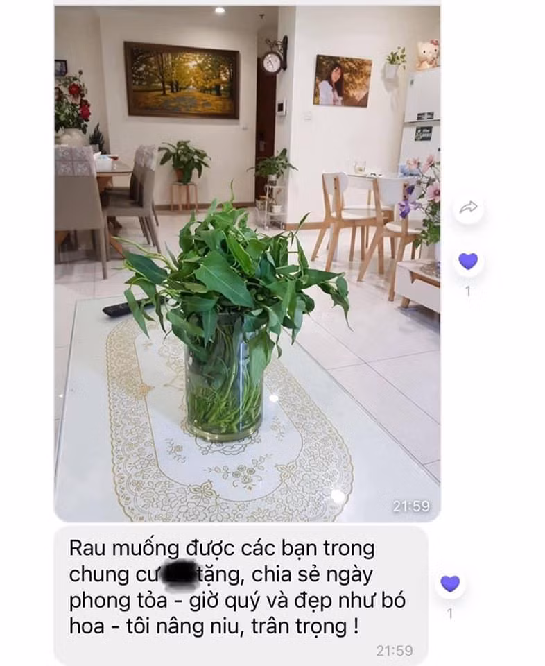 Me ruot BTV Hoai Anh thanh F0, lam 1 dieu cam dong-Hinh-3