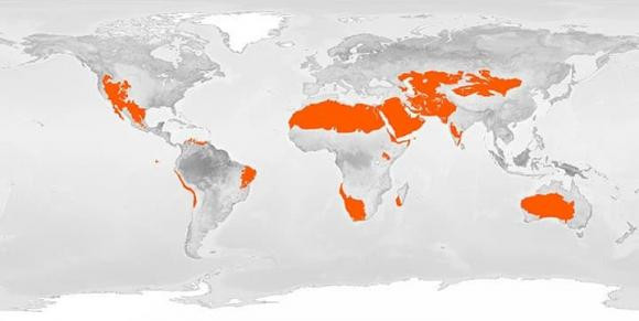 Trai dat khong con hoan hao?-Hinh-3