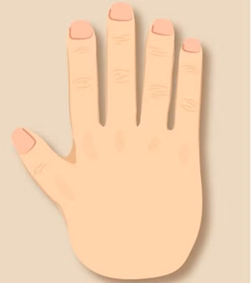 Xem tướng bàn tay theo ngũ hành để biết ai giàu sang ai khốn khó Xem tuong ban tay theo ngu hanh de biet ai giau sang ai khon kho